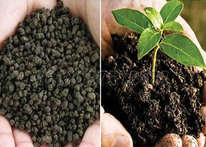 Bio fertilizer Produced by SX Bio Fertilizer Production Line